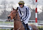 Pat Rutter - It's Raining : 2nd lot of doncaster races